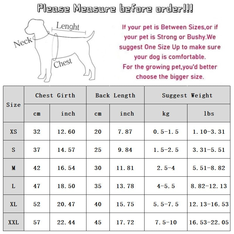In Autumn And Winter, The Dog Is Funny. The Hot Spring Fish Wears A Hat And A Vest, Transforming Into A Teddy Cotton-padded Suit For Pet Dogs